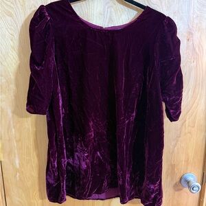 Torrid Crushed Velvet Fancy top Ruched Elbow Sleeves 1 1X 14 / 16